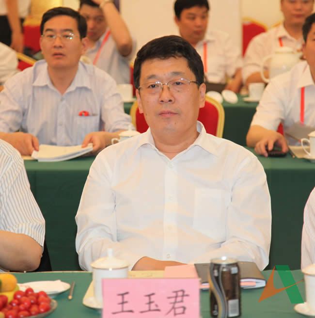 集团公司总经理王玉君参加汇报会